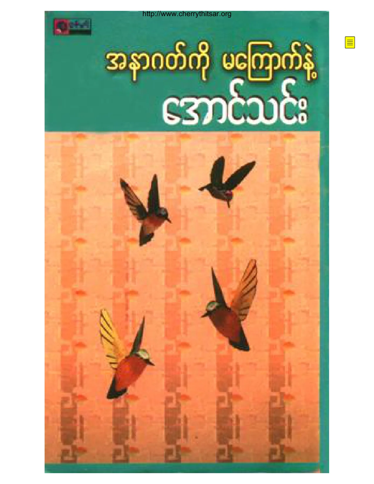 ေအာင္သင္း- အနာဂတ္ကိုမ     ေၾကာက္နဲ႕.pdf